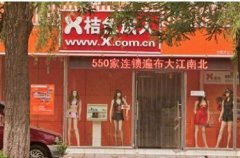 中国“情趣用品行业”经济学