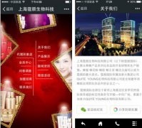 腾讯“风铃”助力企业抢滩移动营销