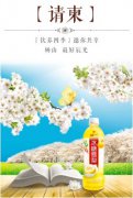 数万名游客共赴砀山，赏最美梨花海