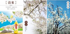 统一企业携手砀山县龙头企业，打造绿色梨园基地