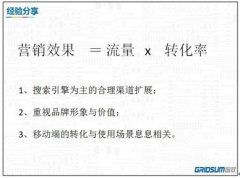 国双科技王晓群：用乘法思维看效果营销整合