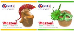 意大利猕猴桃布局国内市场 华圣果业与MAZZONI公司强强联合