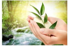 清洁剂为化学残留主谋 生物环保清洁剂SEA GREEN受推崇
