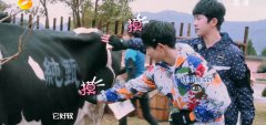 《全员加速中》新年终极公益赛 易烊千玺成就纯甄公益梦想