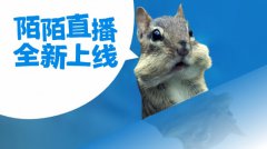 陌陌最新品牌广告走“动物风“ 同性话题惹争议