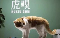 又是一年4月1，今天你被“愚”了吗？