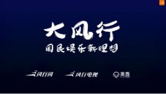 风行网COO易正朝：短视频营销的价值支点