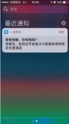 一点资讯七夕邀狗相亲 大数据配对虐哭单身狗