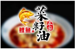 古格王朝CEO邹勇 挖掘品牌文化的先导者