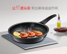 赛普瑞斯·先生黑骑士不粘锅做守护家人饮食健康的骑士