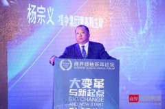 杨宗义：新实业路上的思考与实践