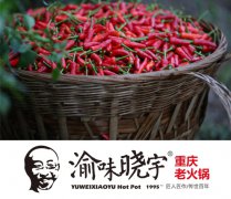 正宗重庆老火锅渝味晓宇成都3周年店庆 感恩回馈优惠享不停