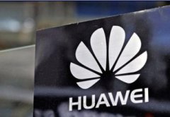 华为动物哲学:狼性文化 乌龟精神 眼镜蛇特质