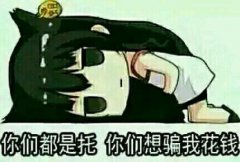 除了巴铁，那些年圈钱蒙人的科技项目