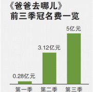 《爸爸去哪儿》不再制作 湖南卫视损失十几亿收益