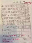 9岁女孩日记控诉警察爸爸：见你一面这么难吗？
