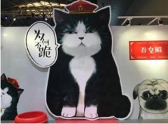 年轻人的生意经：汉服控徐娇19岁当上了老板娘