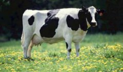 15家乳企2016年业绩汇总：8家业绩出现下滑