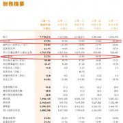 贾跃亭的“中国好同学”怎么被浑水做空了？