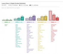 奢侈品牌在中国的线上策略，这十个品牌表现最为出色
