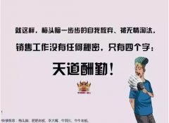 业务员的堕落