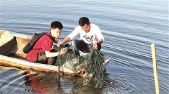 小龙虾高价入市:进货价普涨约25% 市民直呼吃不起