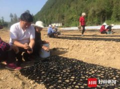 80后大学生回村创业亏损百万 债务缠身妻子离开