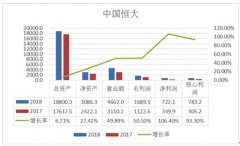 恒大2018年营收利润双丰收 许家印：要做就做大