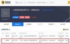 贾跃亭持有的上海场景派投资中心股权被冻结