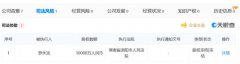 罗永浩和锤子科技的寒冬：半月内遭3次资产冻结