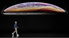 新iPhone终结单手握持时代:大屏将占据更多注意力